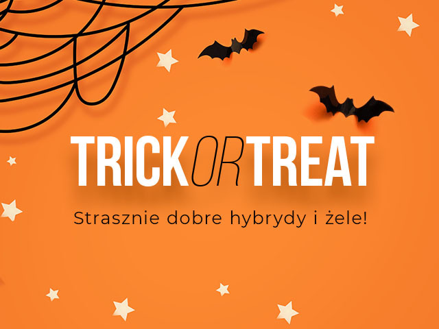 Trick or Treat – a Scary Good Collection