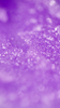 Body Scrub Blueberry Delight 350 ml