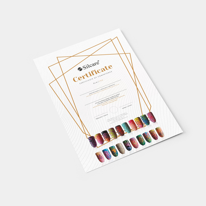 Certificato di completamento del Corso