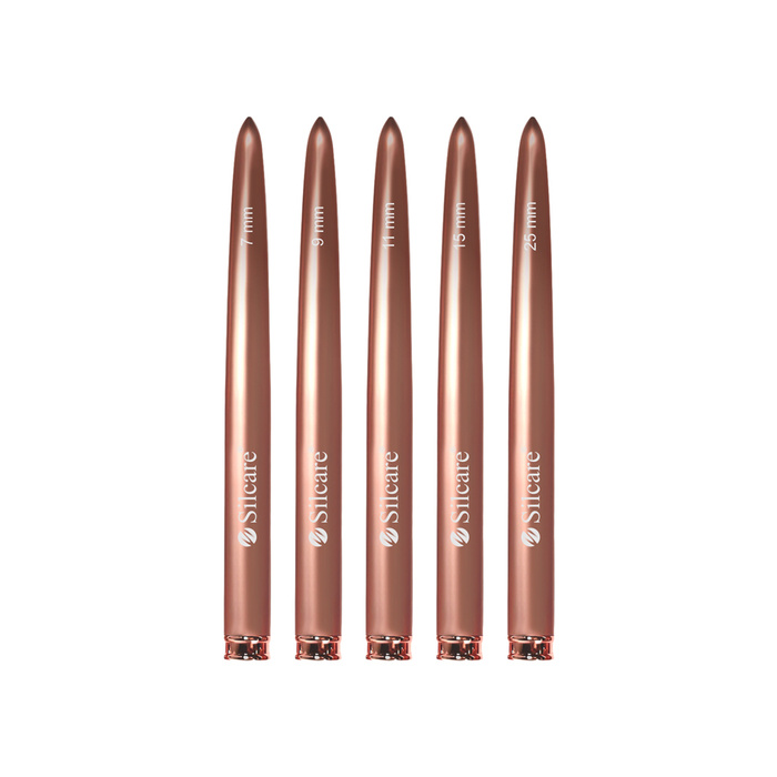 Set di pennelli per nail art (5 pz)