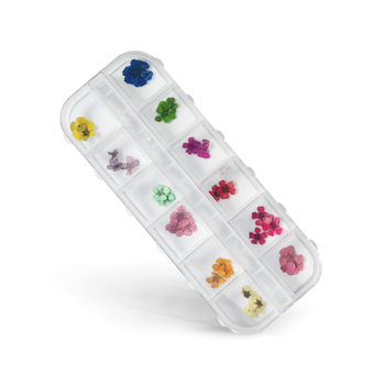 Scatola di fiori secchi per Nail Art, 12 colori - versione grande