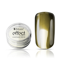 Polvere per unghie Vintage Gold Effect 2 g