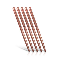 Set di pennelli per nail art (5 pz)